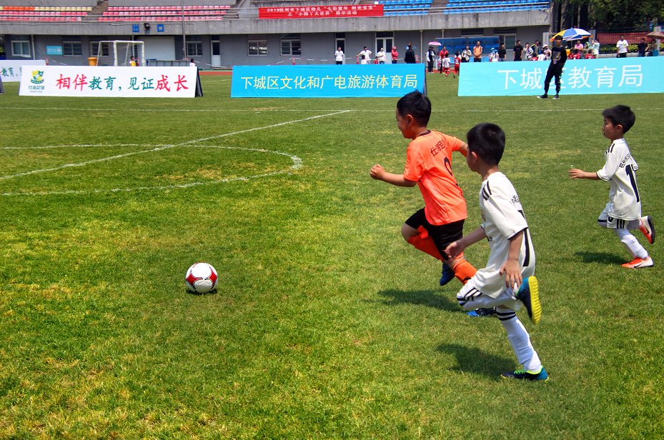 全国男排冠军赛第二站河北山东夺冠